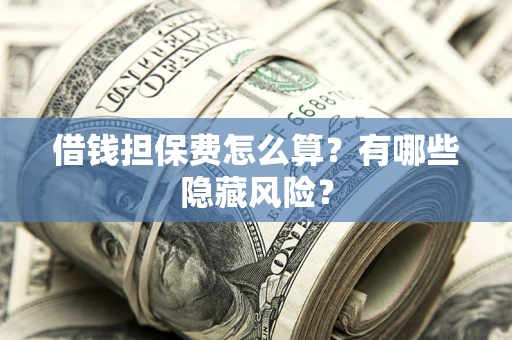 武汉借钱担保费怎么算？有哪些隐藏风险？