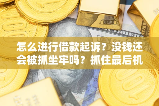 武汉怎么进行借款起诉？没钱还会被抓坐牢吗？抓住最后机会！
