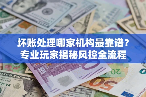 武汉坏账处理哪家机构最靠谱？专业玩家揭秘风控全流程