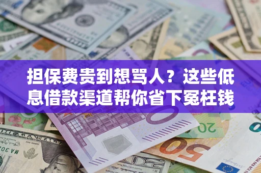 武汉担保费贵到想骂人？这些低息借款渠道帮你省下冤枉钱