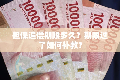 武汉担保追偿期限多久？期限过了如何补救？