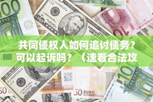 武汉共同债权人如何追讨债务？可以起诉吗？（速看合法攻略）