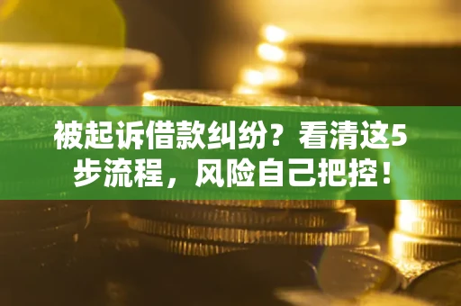 武汉被起诉借款纠纷？看清这5步流程，风险自己把控！