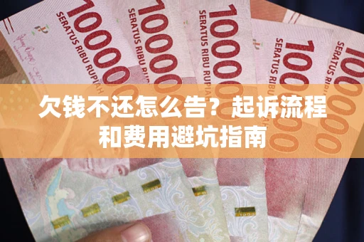 武汉欠钱不还怎么告？起诉流程和费用避坑指南