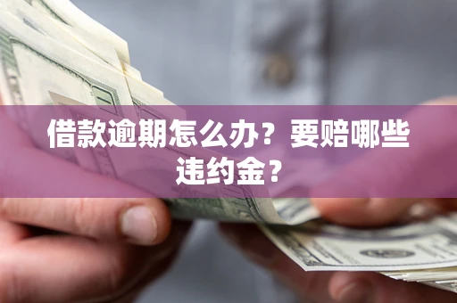 武汉借款逾期怎么办？要赔哪些违约金？
