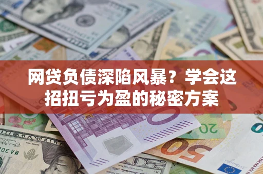 武汉网贷负债深陷风暴？学会这招扭亏为盈的秘密方案