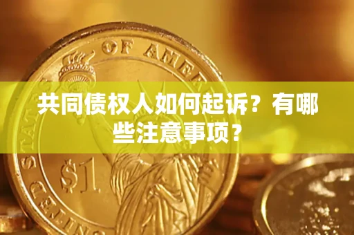 武汉共同债权人如何起诉？有哪些注意事项？